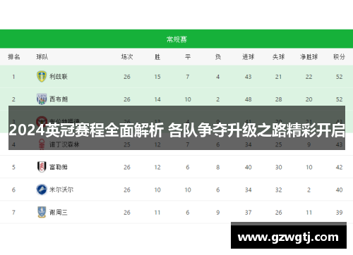 2024英冠赛程全面解析 各队争夺升级之路精彩开启