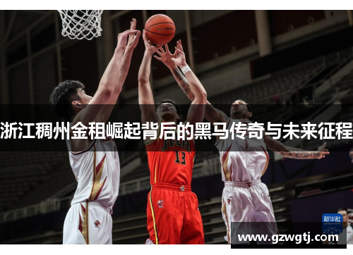 浙江稠州金租崛起背后的黑马传奇与未来征程