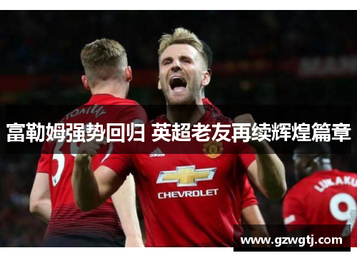 富勒姆强势回归 英超老友再续辉煌篇章